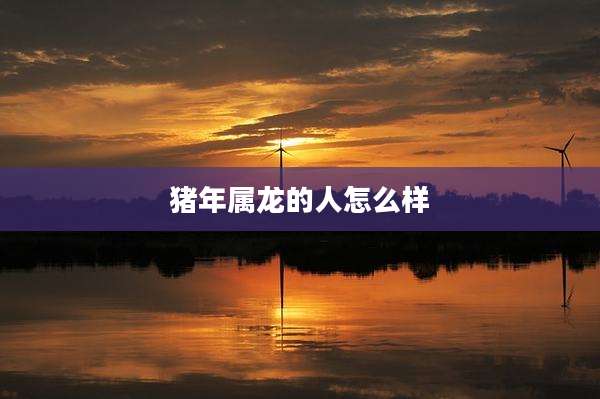 猪年属龙的人怎么样