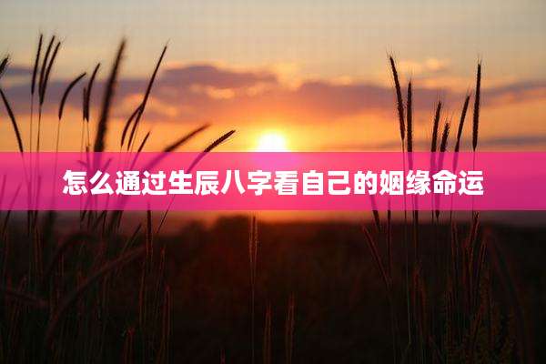 怎么通过生辰八字看自己的姻缘命运