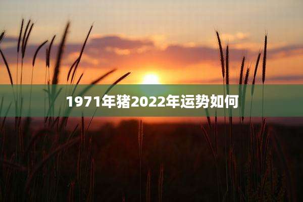 1971年猪2022年运势如何