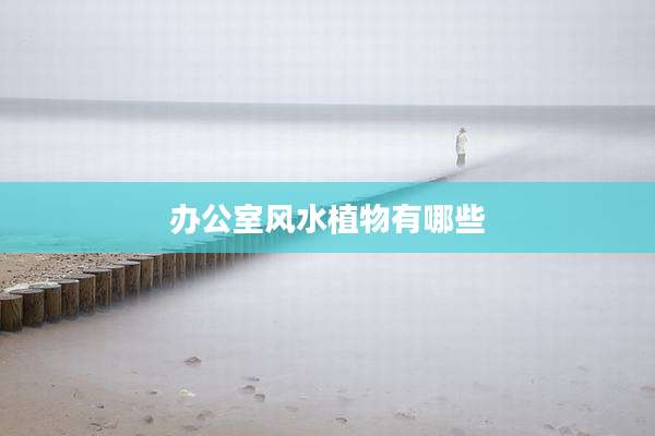 办公室风水植物有哪些