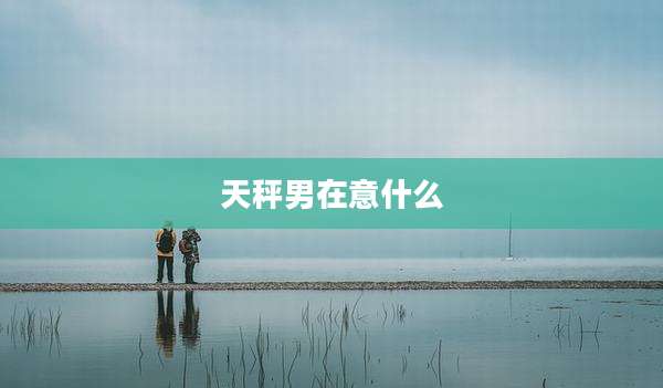 天秤男在意什么