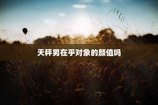 天秤男在乎对象的颜值吗
