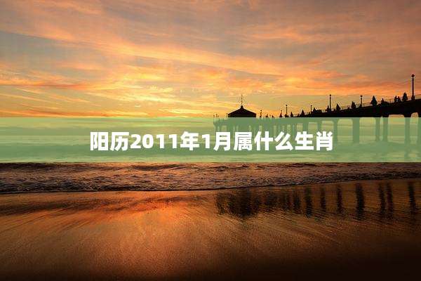 阳历2011年1月属什么生肖