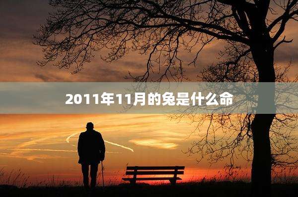2011年11月的兔是什么命