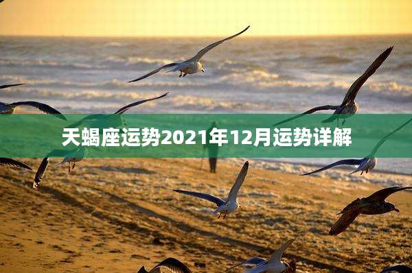 天蝎座运势2021年12月运势详解