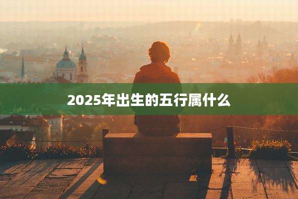 2025年出生的五行属什么