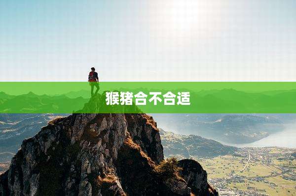 猴猪合不合适