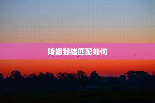 婚姻猴猪匹配如何