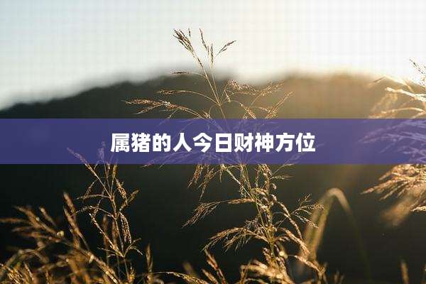 属猪的人今日财神方位