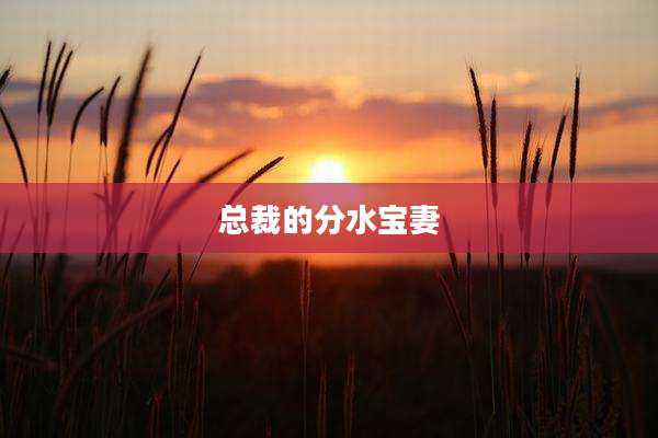 总裁的分水宝妻