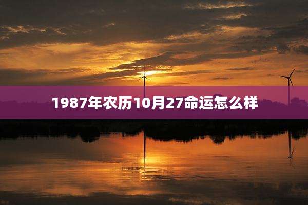 1987年农历10月27命运怎么样