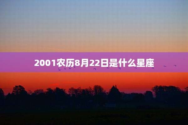 2001农历8月22日是什么星座