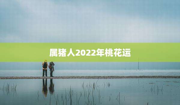 属猪人2022年桃花运