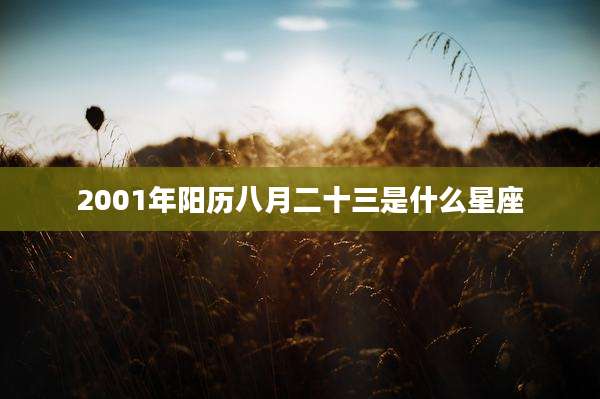 2001年阳历八月二十三是什么星座