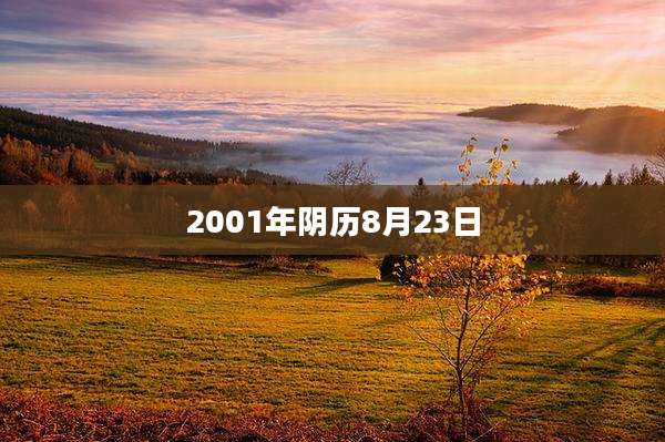 2001年阴历8月23日