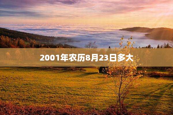 2001年农历8月23日多大