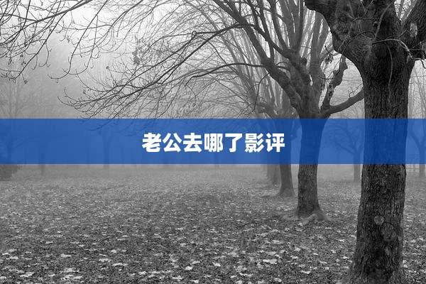老公去哪了影评