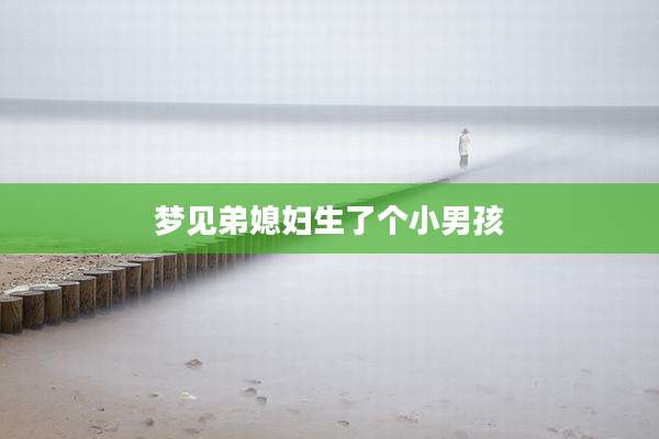 梦见弟媳妇生了个小男孩