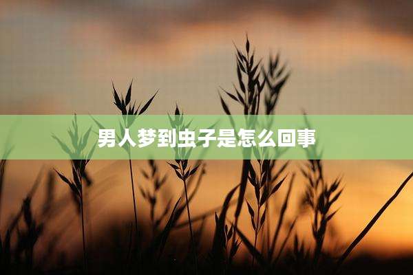 男人梦到虫子是怎么回事