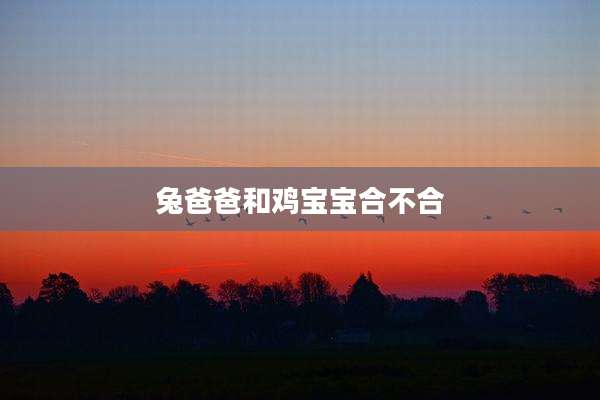 兔爸爸和鸡宝宝合不合
