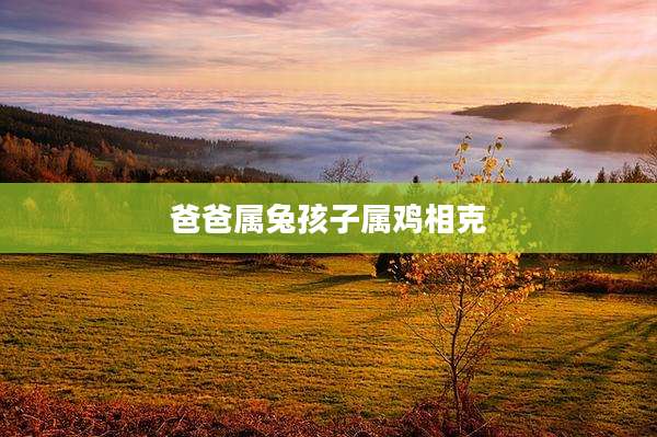 爸爸属兔孩子属鸡相克