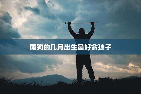 属狗的几月出生最好命孩子