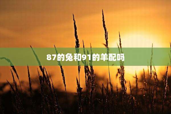 87的兔和91的羊配吗