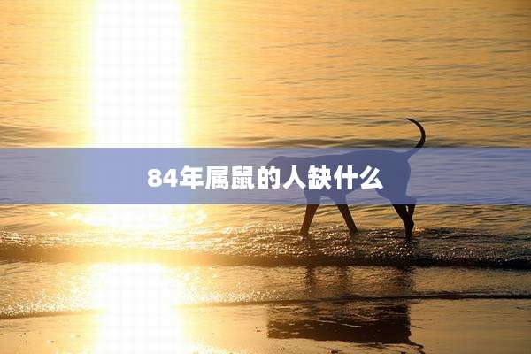 84年属鼠的人缺什么