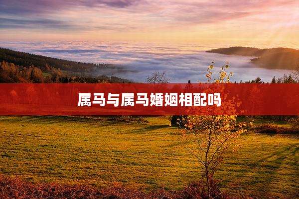 属马与属马婚姻相配吗