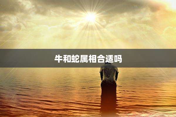 牛和蛇属相合适吗