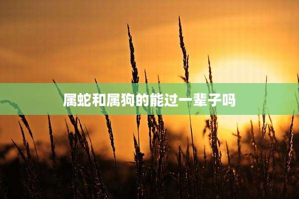 属蛇和属狗的能过一辈子吗