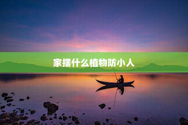 家摆什么植物防小人
