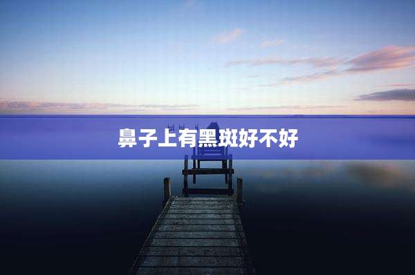 鼻子上有黑斑好不好