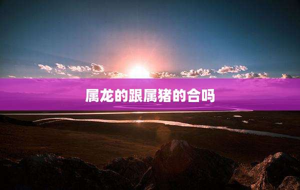 属龙的跟属猪的合吗