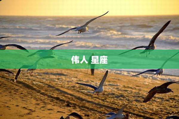伟人 星座