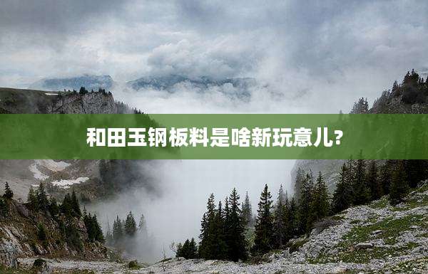 和田玉钢板料是啥新玩意儿?