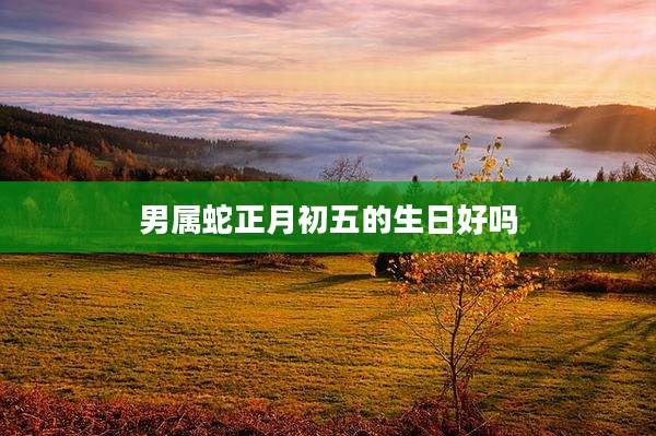 男属蛇正月初五的生日好吗