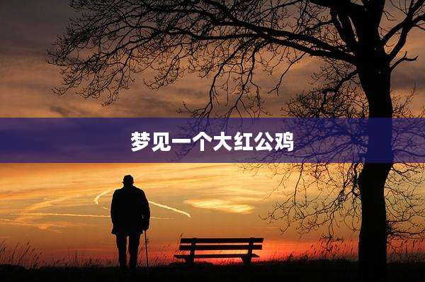 梦见一个大红公鸡