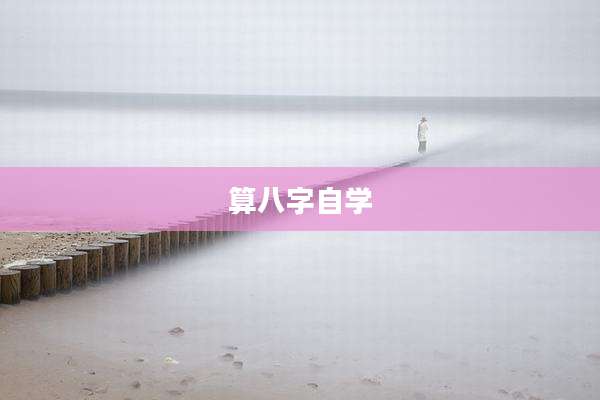 算八字自学