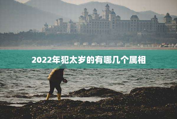 2022年犯太岁的有哪几个属相
