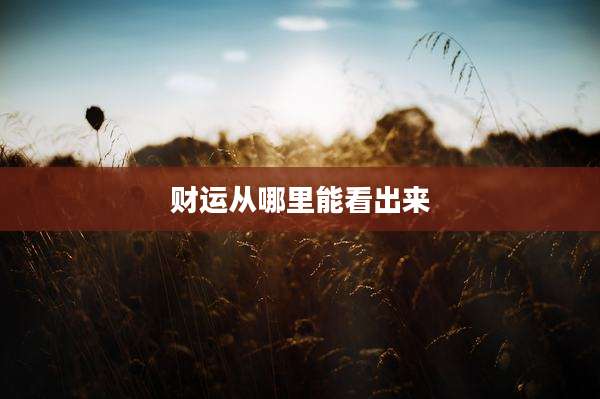 财运从哪里能看出来