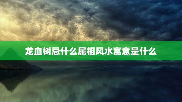 龙血树忌什么属相风水寓意是什么
