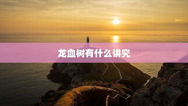 龙血树有什么讲究