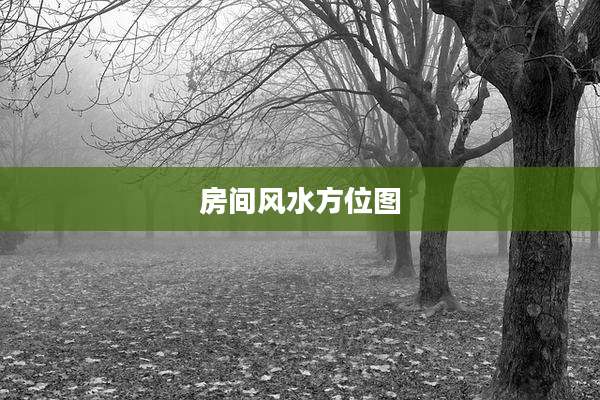 房间风水方位图
