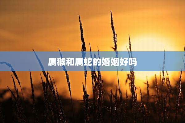 属猴和属蛇的婚姻好吗