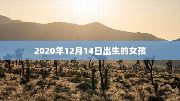 2020年12月14日出生的女孩