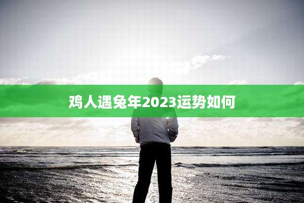 鸡人遇兔年2023运势如何