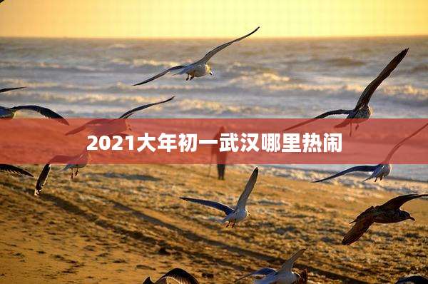 2021大年初一武汉哪里热闹