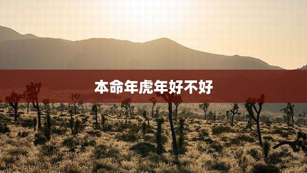 本命年虎年好不好