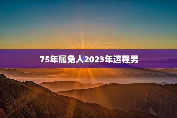 75年属兔人2023年运程男